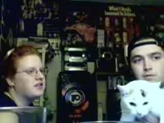 lc chats aime pas étre filmer