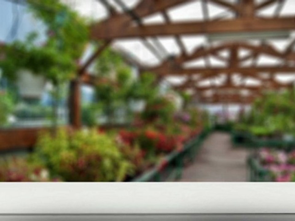 Optimiser un site Internet pour le référencement [Pack Trafic]