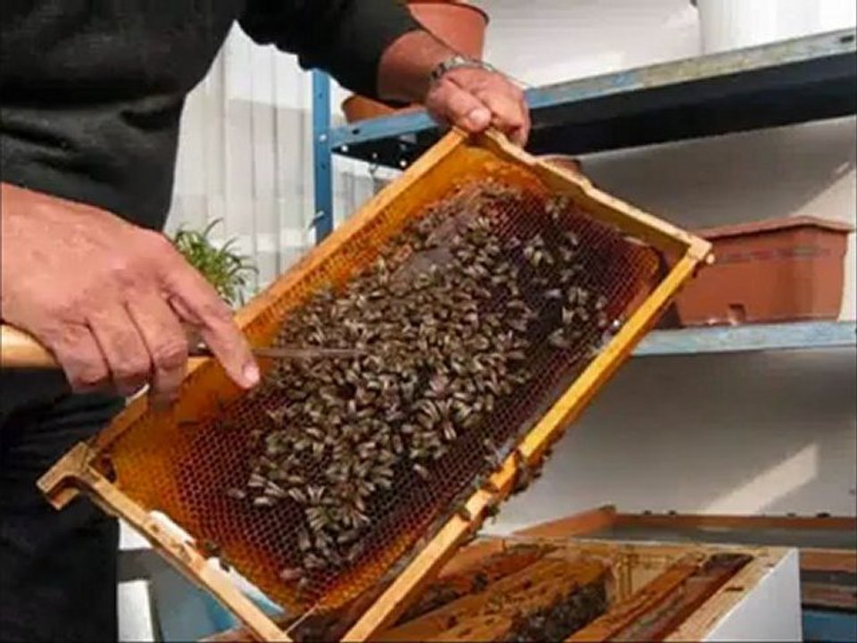 28-kasım-2012 balkonda kontrol