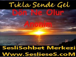 Sen Ne Sandın Benim Sevdamı