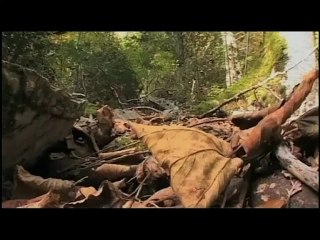 Cela se passe en Pays de Savoie : "Antoine de Menthon"