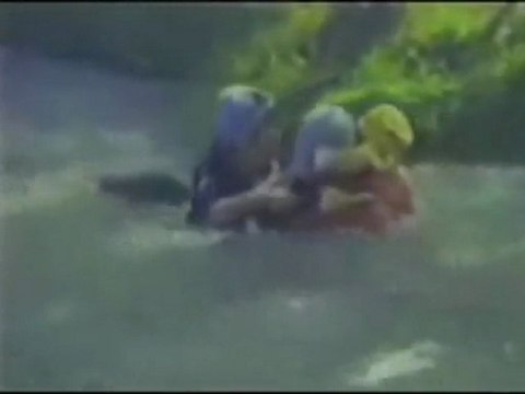 Yüksel Özkasap - bir kuzuda taş dibinde meliyor ( seslendiren Nedret güvenç ) - kolaj Serbülent Öztürk