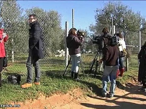 Padres del bebé cogelado declaran ante el juez