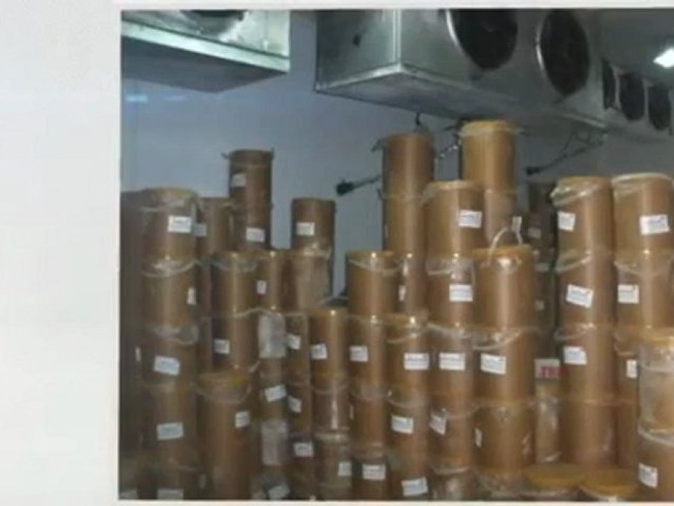 helados al por mayor. JC distribuidor mayorista de helados y productos congelados