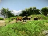 Far Cry 3 (PS3) - Trailer de lancement