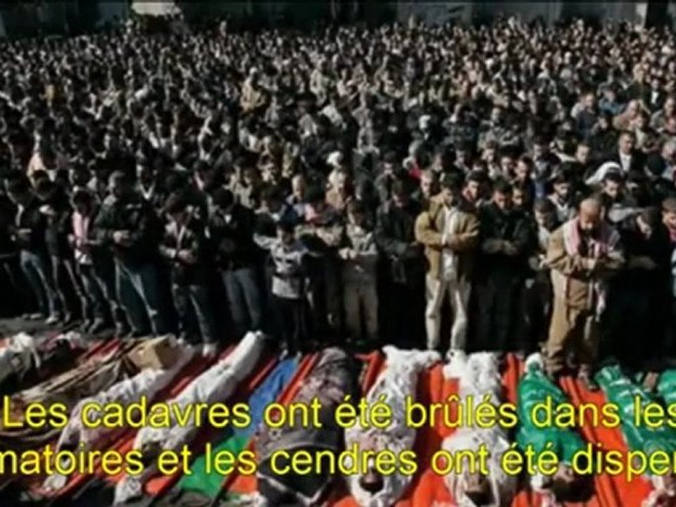 Le révisionnisme de l'Holocauste
