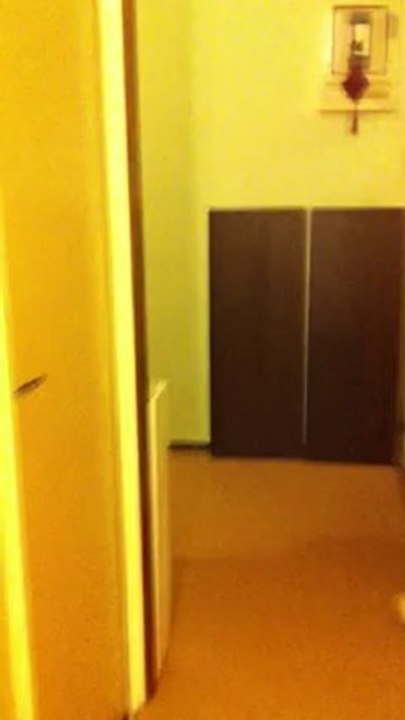 2eme passages de la petite souris