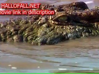 Download African Cats full movie