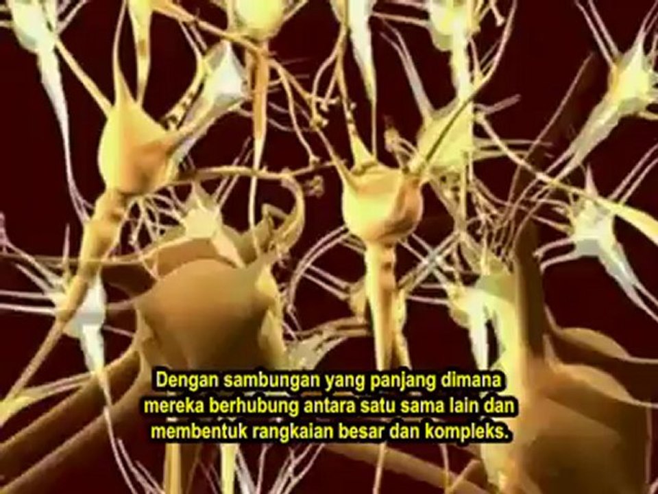 Solomon_s Temple Part11 (Jin 3)