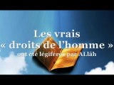 Les vrais « droits de l’homme » ont été légiférés par ALlâh