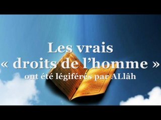 Les vrais « droits de l’homme » ont été légiférés par ALlâh