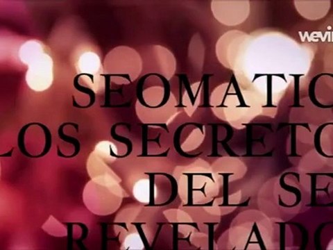 posicionamiento de sitios web trafico web