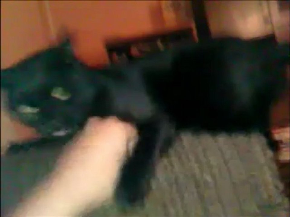 mein Teufel beist...