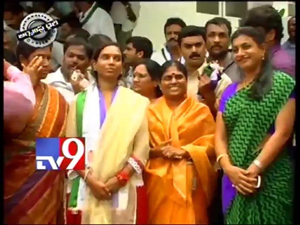 Babu Vision 2014 - Journalist Diary