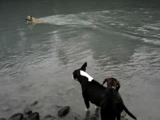 photos plage au bord de l'arve 021