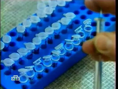 Особо опасен! Проклятые навеки