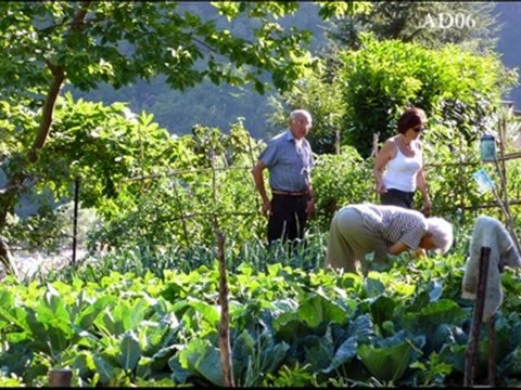 Témoignage partie 4- Albert Maynard, habitant d’Isola, vallée de la Tinée – Corpus ‘’Parc National du Mercantour’’