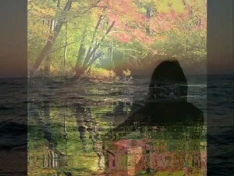 MURAT İLGÜN SAYGLILARLA