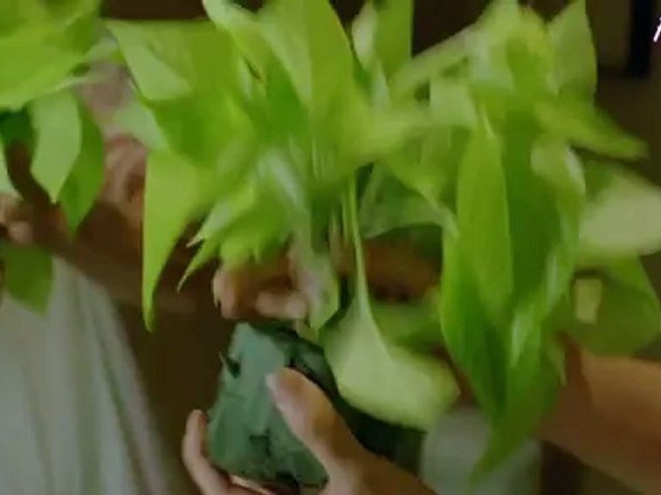 Lan.Kwaii.Fong.2011-phim1s.vn_clip5