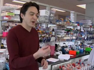 E2 Transport AviationThe Limited Sky