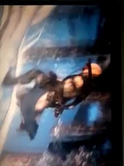 assasin creed  bande annonce