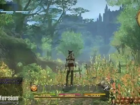 Final Fantasy XIV : A Realm Reborn (PS3) - The Black Shroud Gameplay Footage Part 2