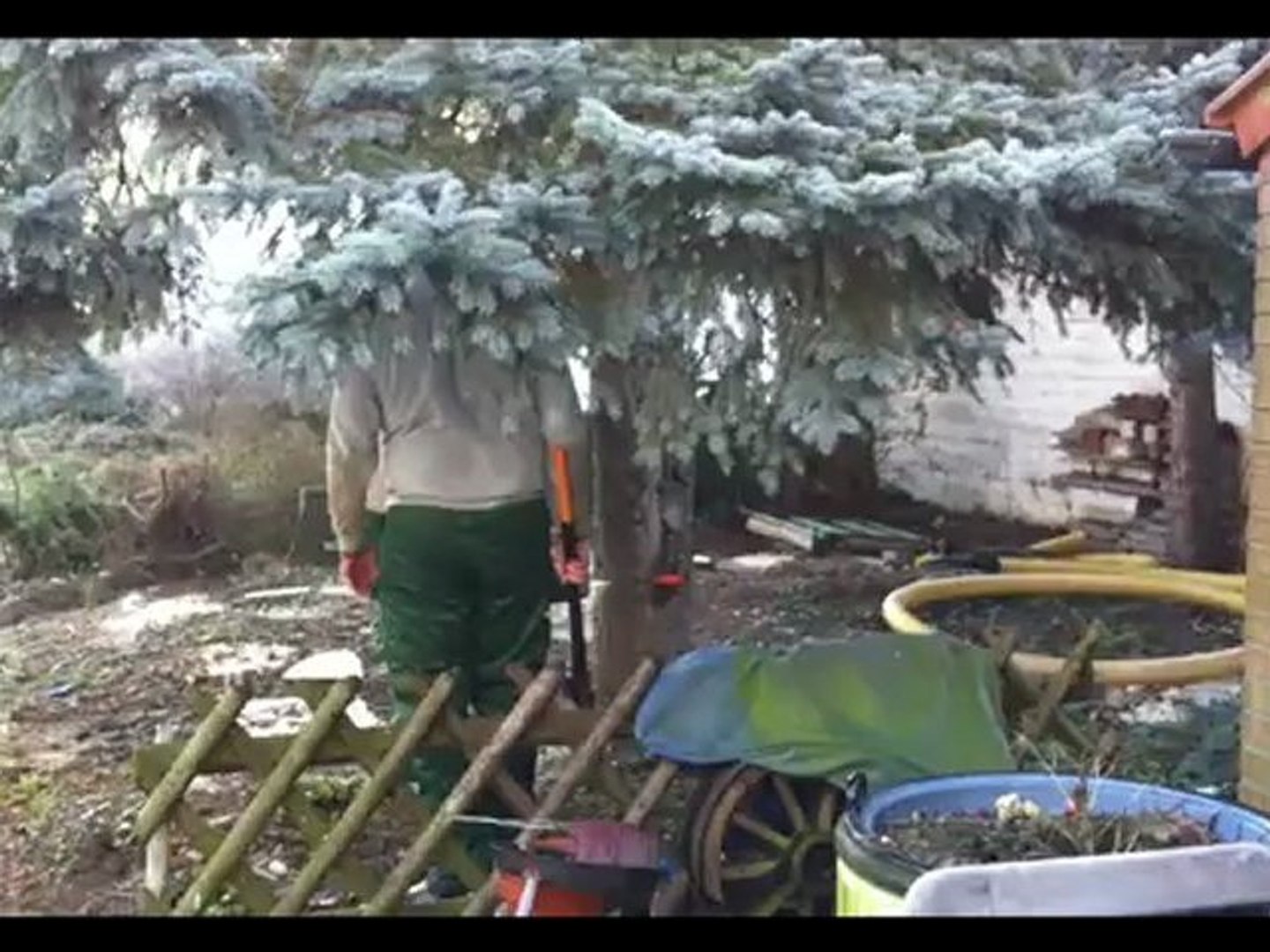 Baum Fallt Auf Haus Video Dailymotion