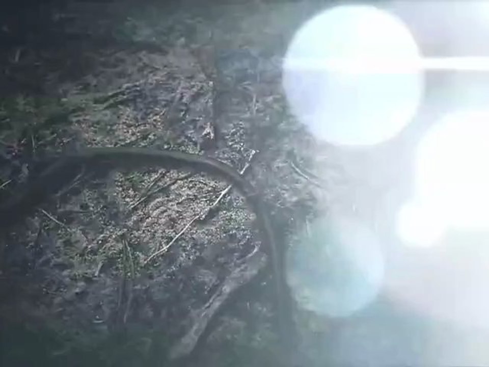 Redwood Hill - "Poseidon" (2012)