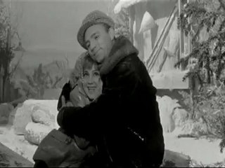 Старый клён