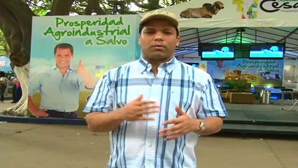 Gobernacion del Cesar Noviembre 29 de 2012 web