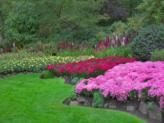 Comment entretenir votre jardin