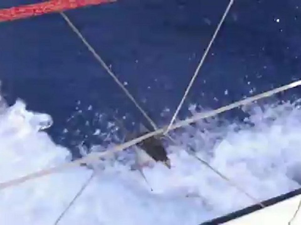 29/11/12 - L'atterrissage raté du poisson-volant sur SynerCiel