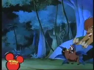 THE LION SLEEPS TONIGHT