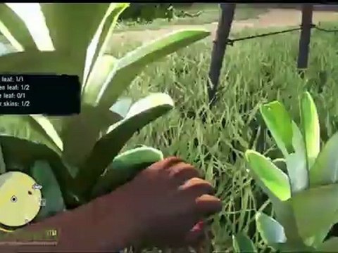 Far Cry 3 | Part #1 - Gameplay Walkthrough [EN + DE Untertitel] (2012) | HD