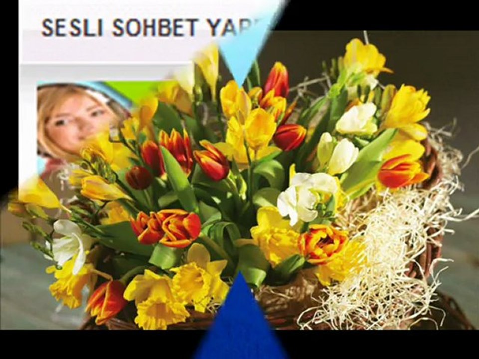 www.adresimask.com