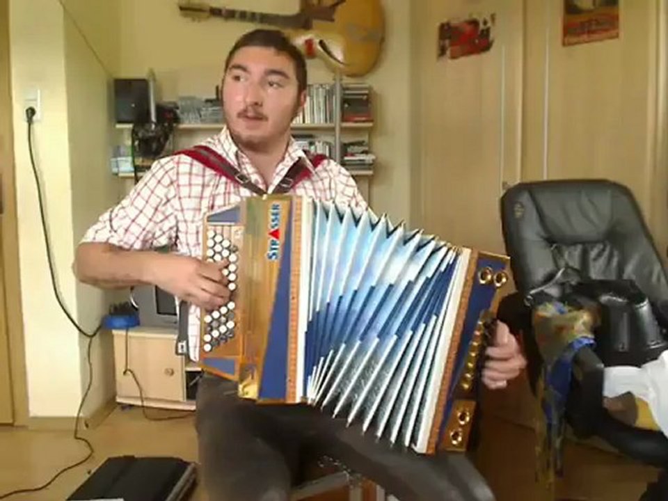 lustig mit harmonika (steirische harmonika)