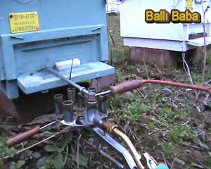 oksalik asit ile varroa mücadelesi...