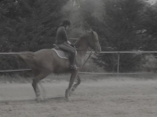 Certains souvenirs sont écrits à l'encre des amours.