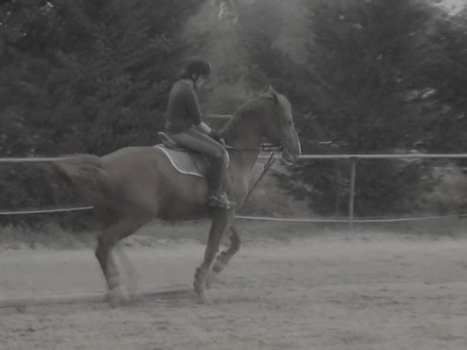 Certains souvenirs sont écrits à l'encre des amours.