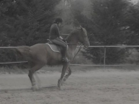 Certains souvenirs sont écrits à l'encre des amours.