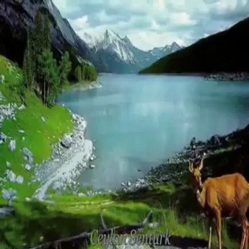 öğrende gel suat sayın-sadegül