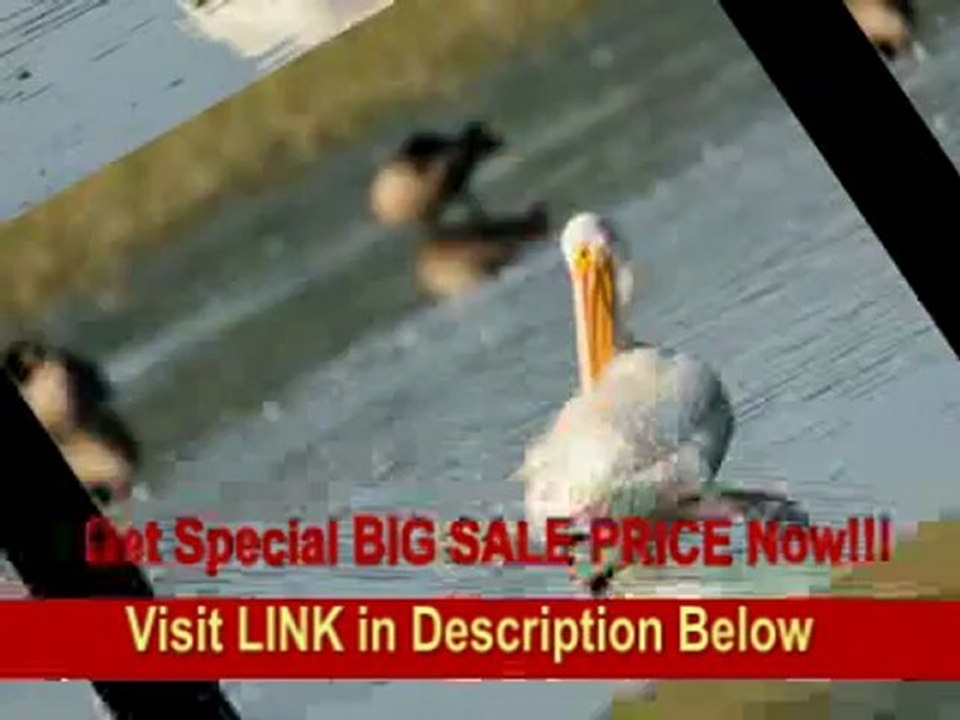 [FOR SALE] Nikon 500mm f/4.0G ED VR AF-S SWM Super Telephoto Lens for Nikon FX and DX Format Digital SLR