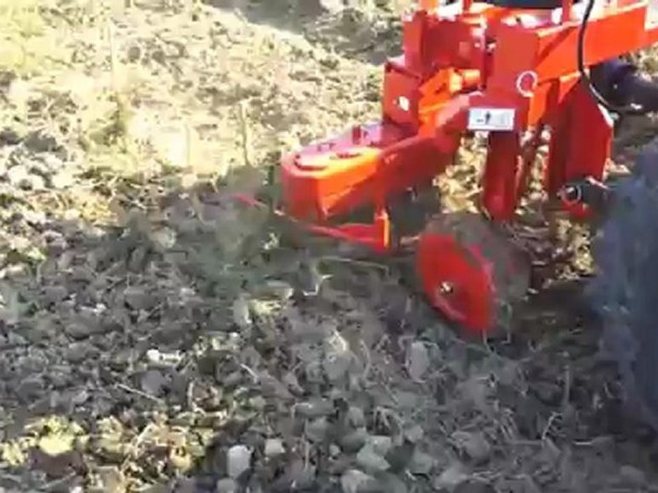 Interceps pour vigne:herse rotative  Cucchi  www.cucchi-ma.it