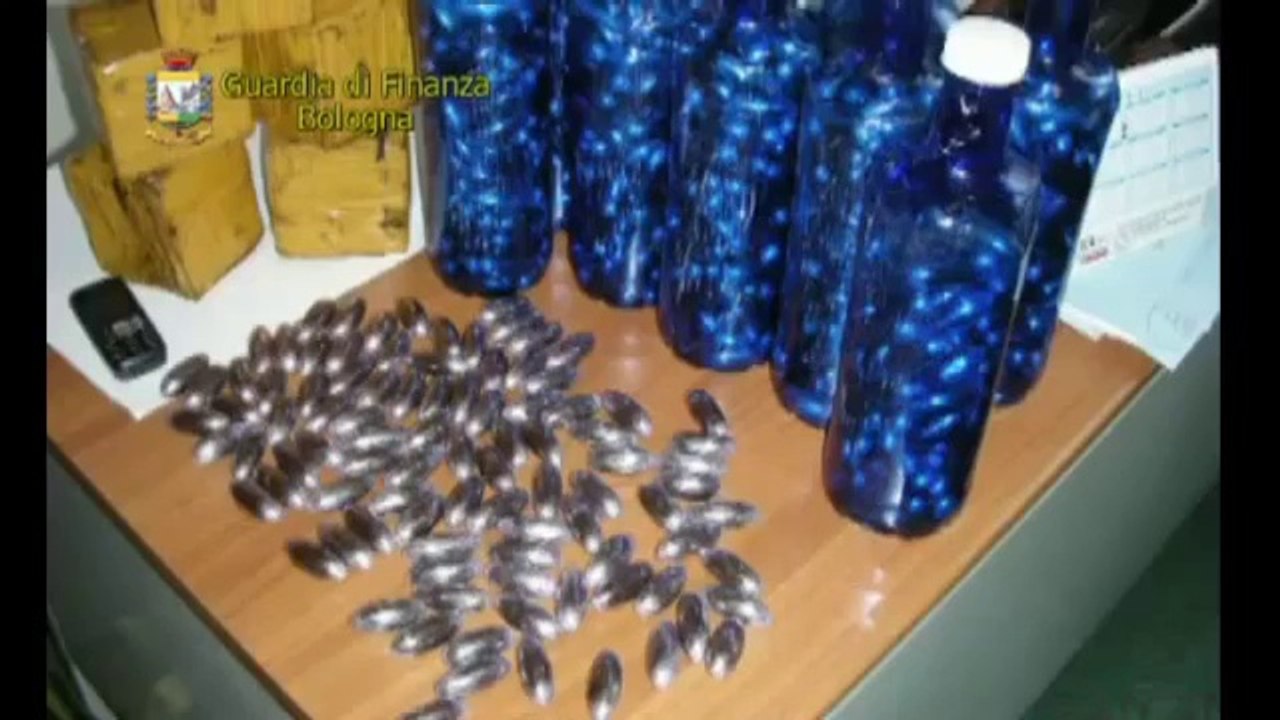 Bologna - Droga, operazione Le Belve - Arrestate 32 persone (21.11.12)