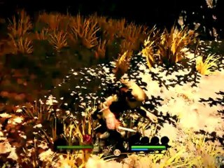 Of Orcs and Men - Un deuxième combat contre les amazones de l'Ile des Complaintes