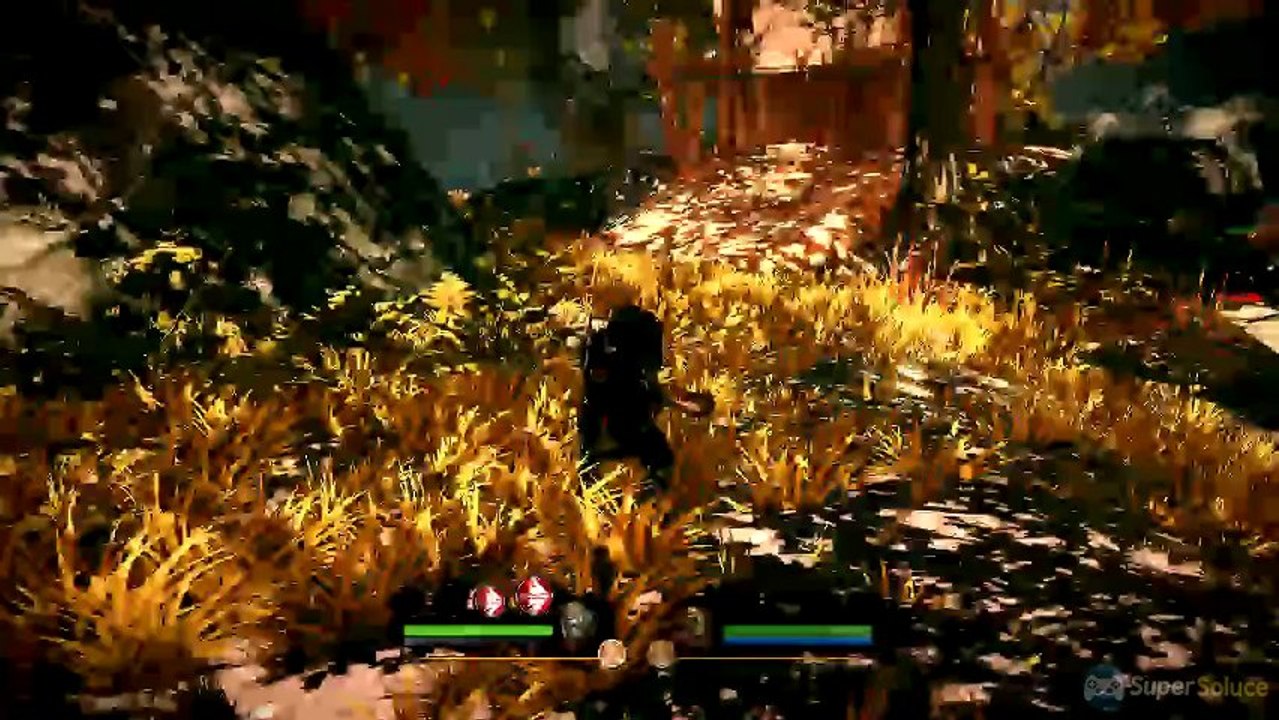 Of Orcs and Men - Un combat contre les amazones de l'Ile des Complaintes