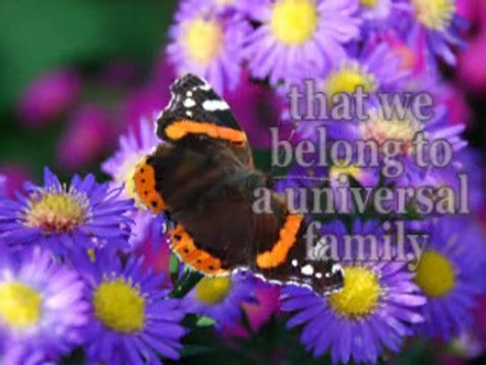 The Peace Within Unity