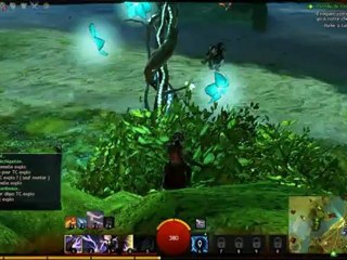 Guild Wars 2 - 3 - Toujours plus de service