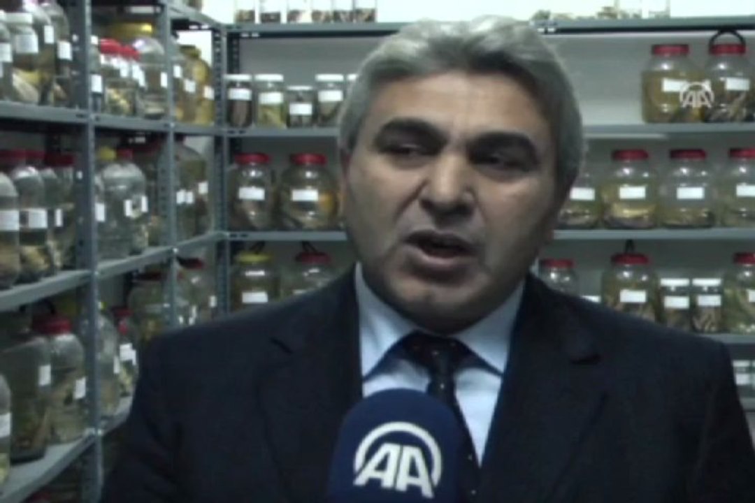 Bu müze başka müze