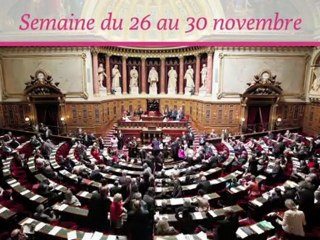Sénat.Hebdo : semaine du 26 au 30 novembre 2012